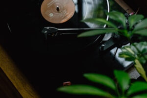 SOUND WAVES: HOW NATURE-INSPIRED MUSIC IS CALMING A DIGITAL WORLD